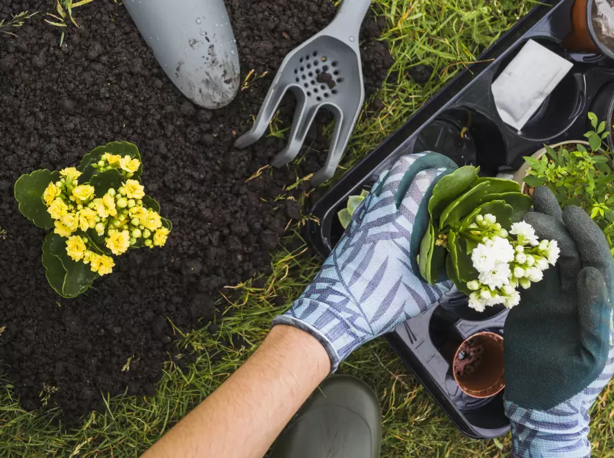 Cómo crear un jardín amigable para las abejas / MIEL ABEJARANA