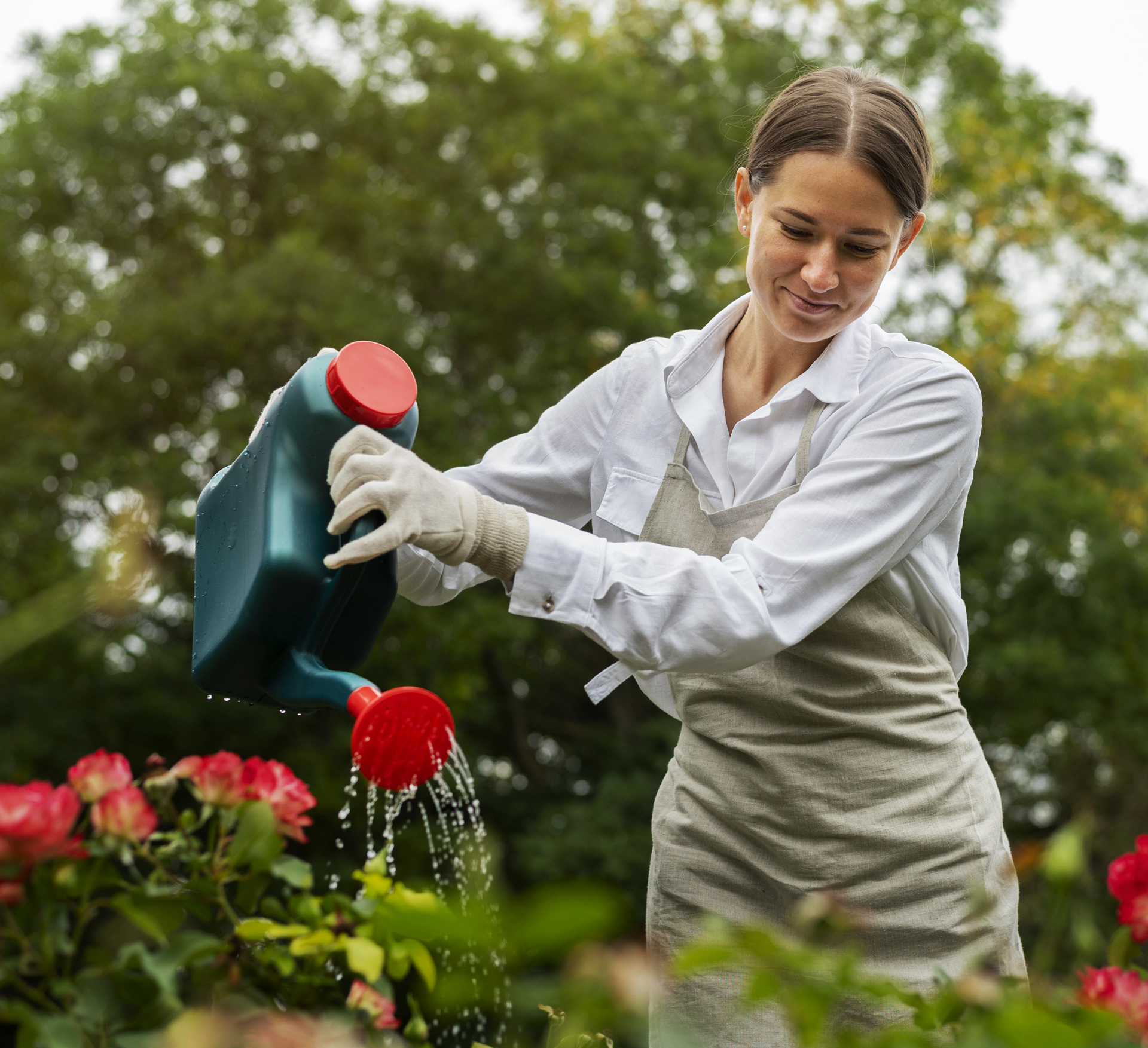 crear un jardín amigable para las abejas sin insecticidas 