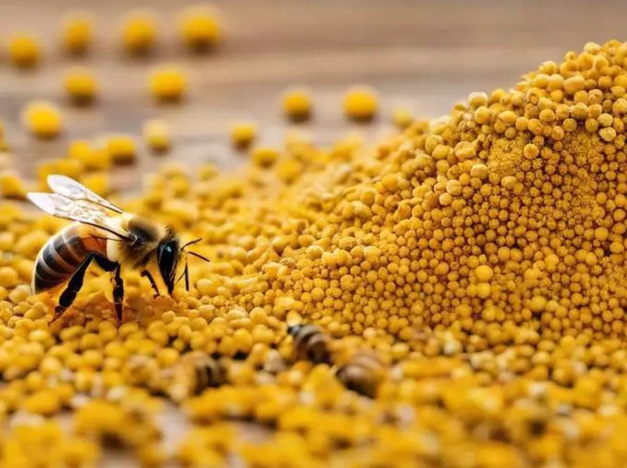 beneficios del polen de abeja y datos curiosos sobre este superalimento | MIEL ABEJARANA